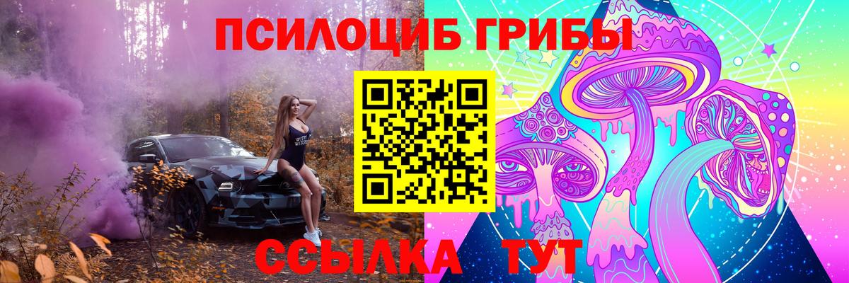 закладки  Вход с VPN  Каменск-Уральский  Псилоцибиновые грибы прущие грибы 
